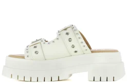 Mules De Plataformas Chemical