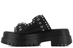 Mules De Plataformas Chemical