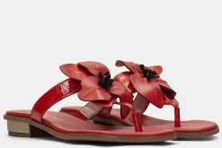 Sandalias Planas Ibiza